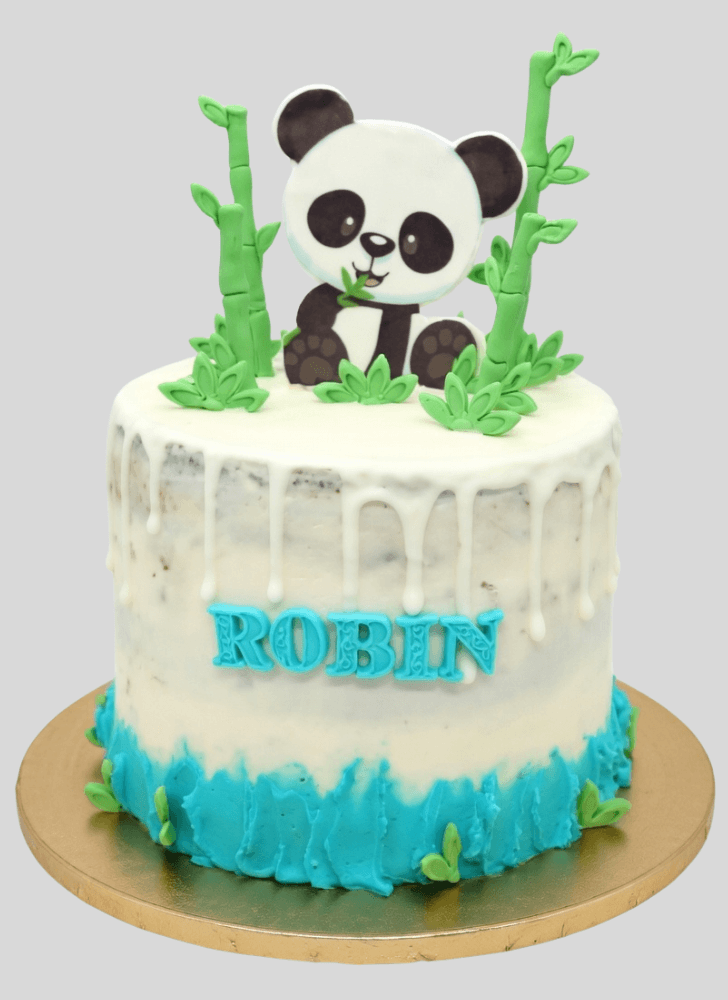 Lovely Baby Panda Cake Design