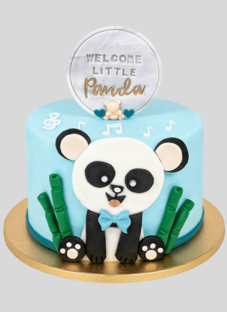 Shapely Baby Panda Cake