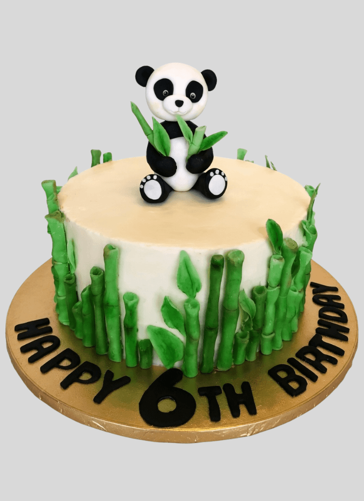 Wonderful Baby Panda Cake Design