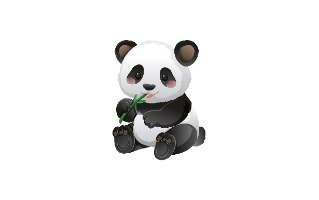 Baby Panda