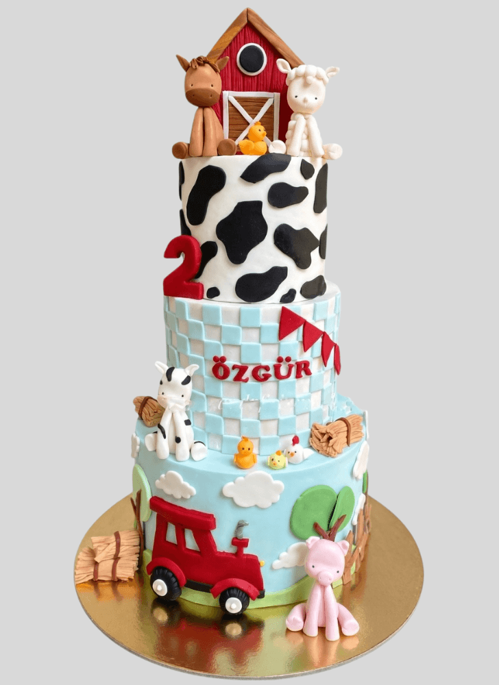 Inviting Farm Cake