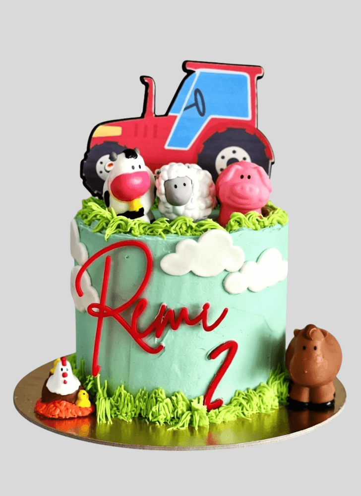 Lovely Farm Cake Design