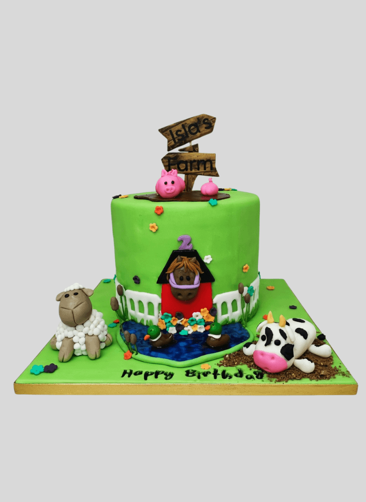 Nice Farm Cake