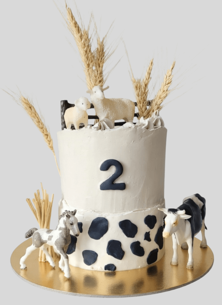 Shapely Farm Cake