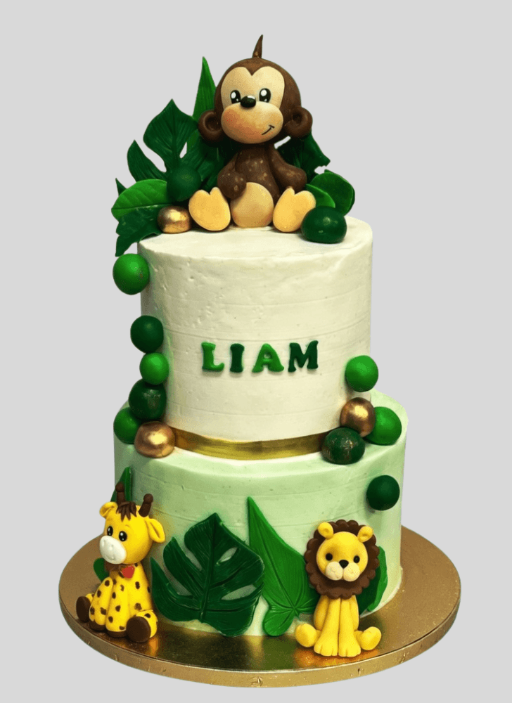 Comely Jungle Cake