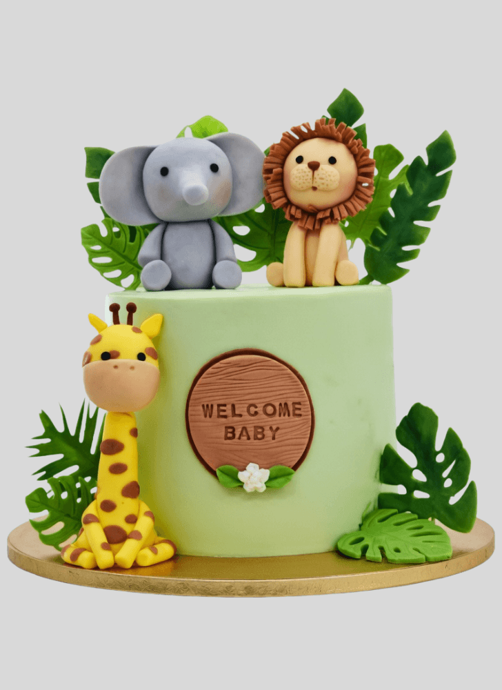 Good Looking Jungle Cake