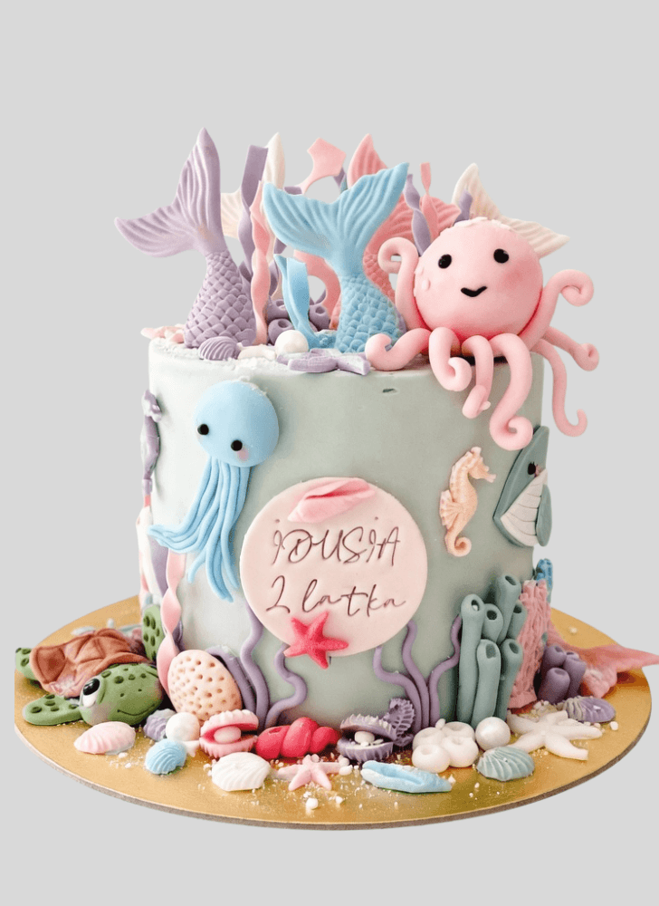 Magnetic Octopus Cake