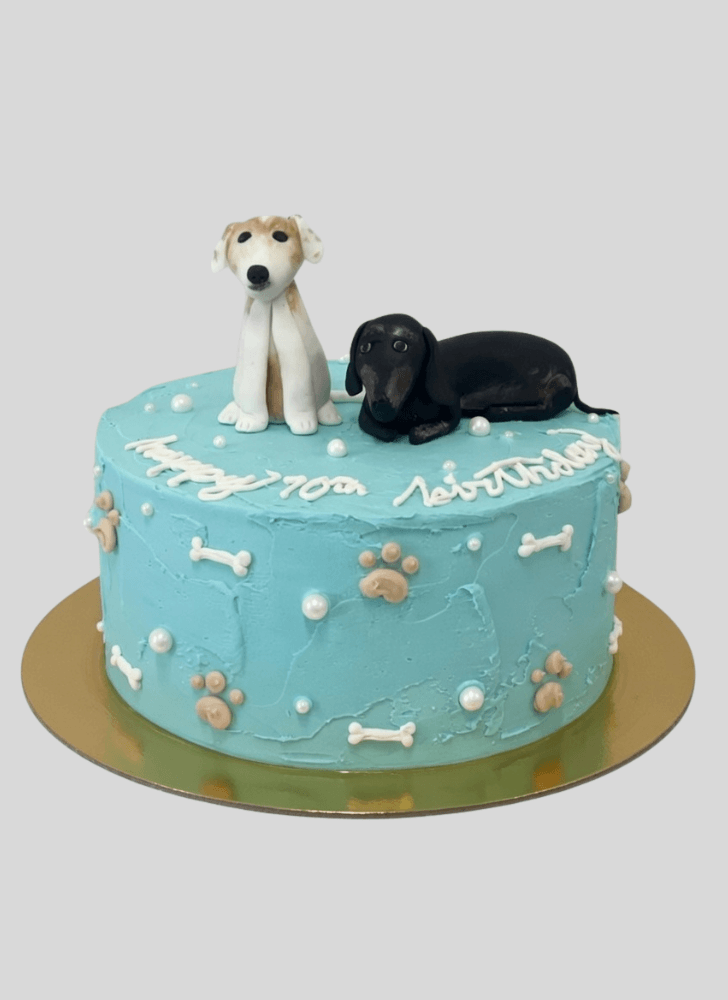 Bewitching Puppy Cake