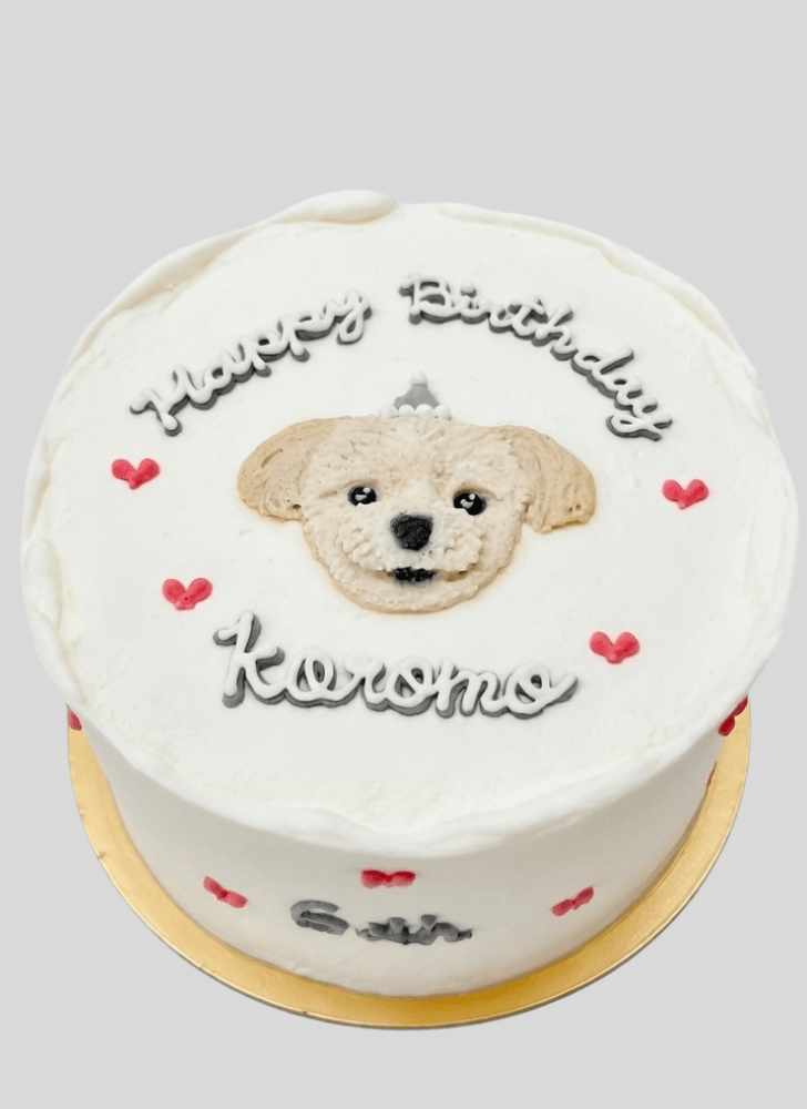Cute Puppy Cake