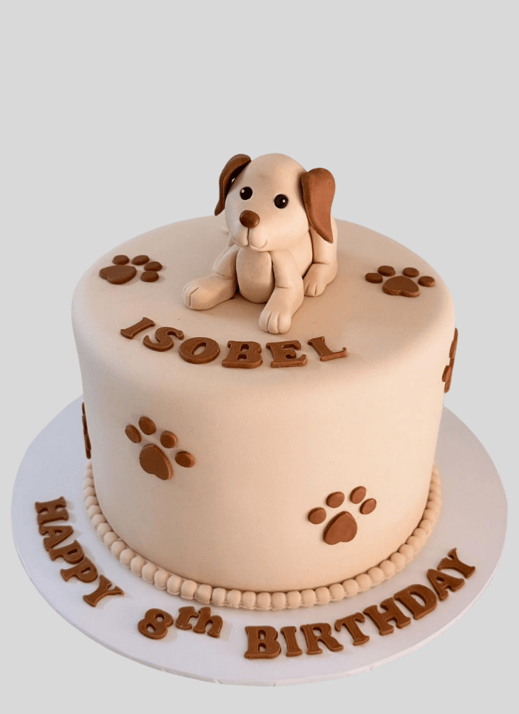 Handsome Puppy Cake