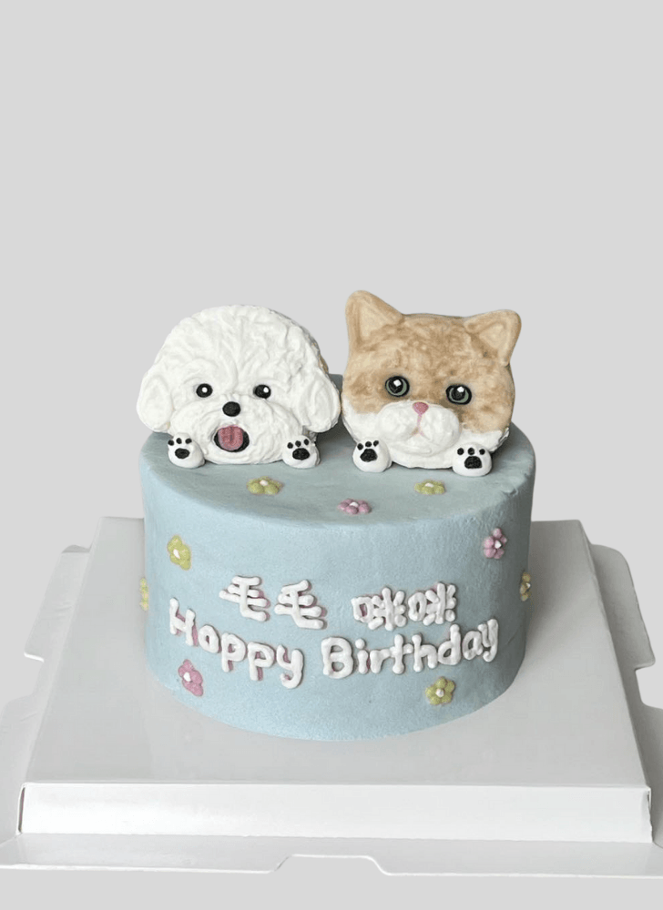 Ideal Puppy Cake