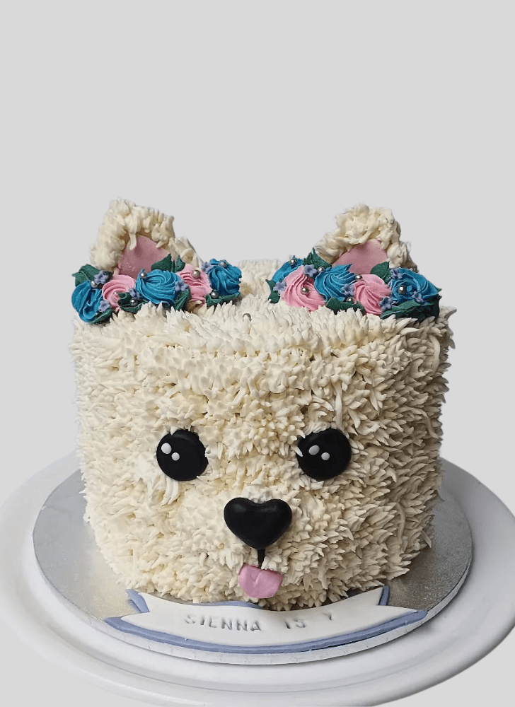 Magnetic Puppy Cake