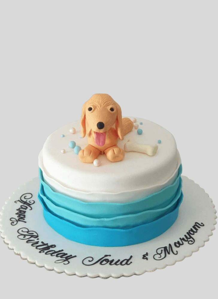 Pretty Puppy Cake