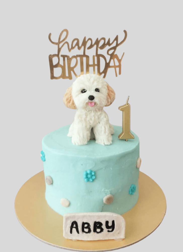 Resplendent Puppy Cake