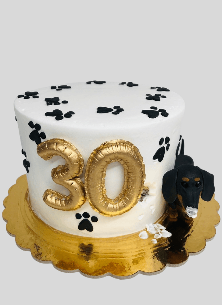 Splendid Puppy Cake