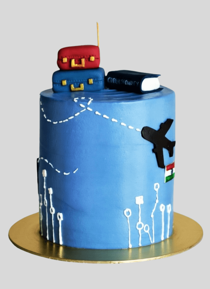 Admirable Travel Cake Design