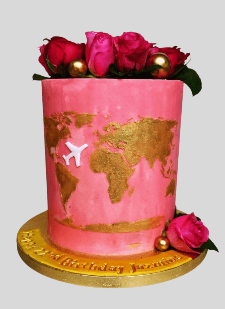 Appealing Travel Cake