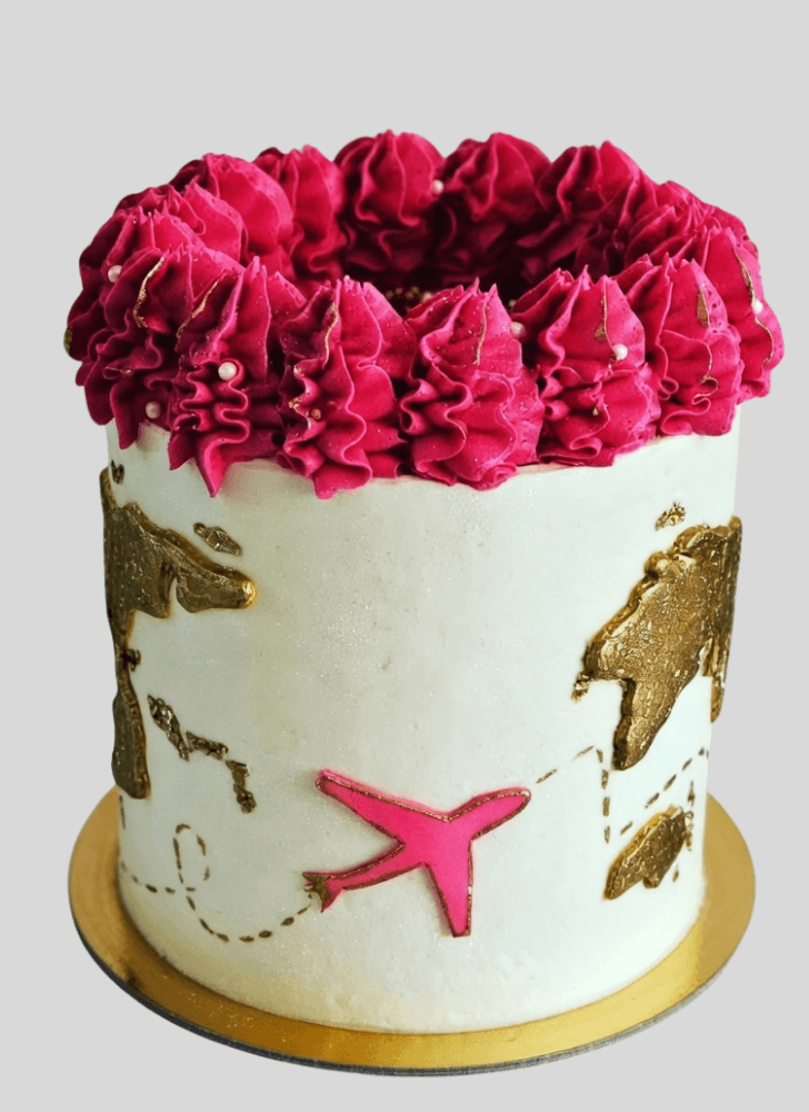 Beauteous Travel Cake