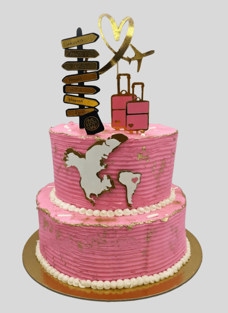 Cute Travel Cake