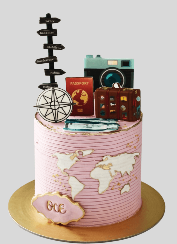 Fine Travel Cake