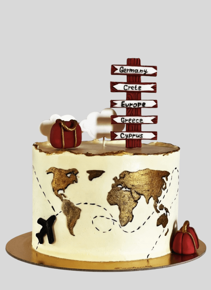 Gorgeous Travel Cake