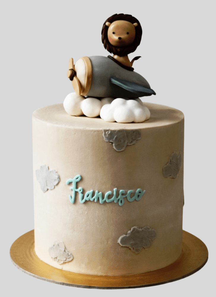 Handsome Travel Cake
