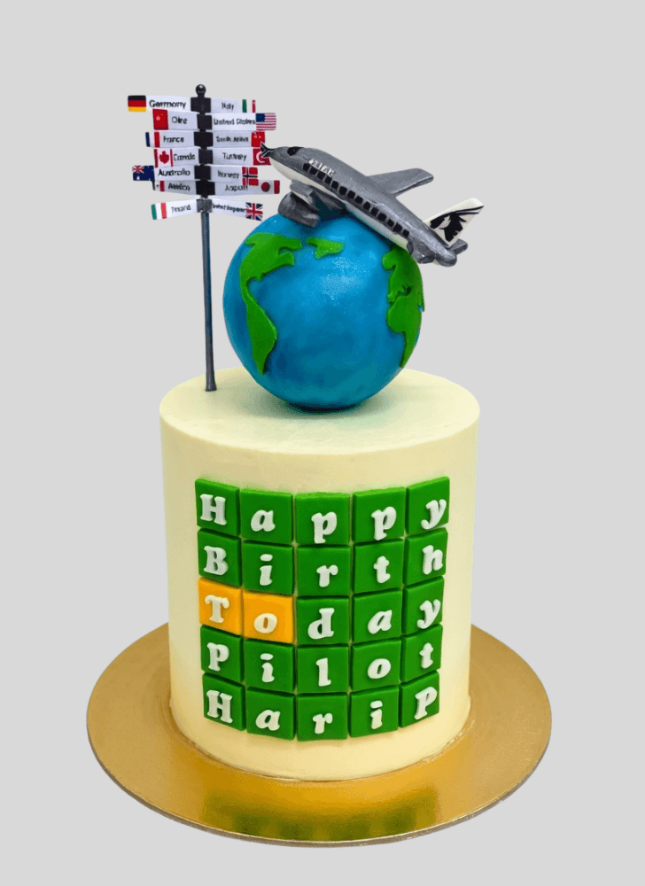 Magnificent Travel Cake