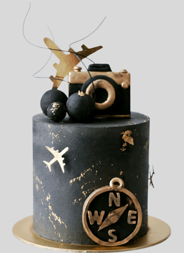 Nice Travel Cake