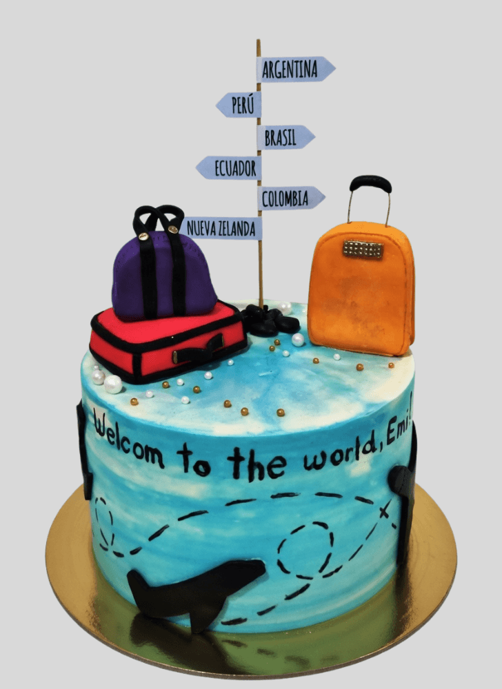Radiant Travel Cake