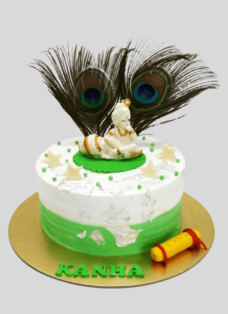 Magnetic Balgopal Cake