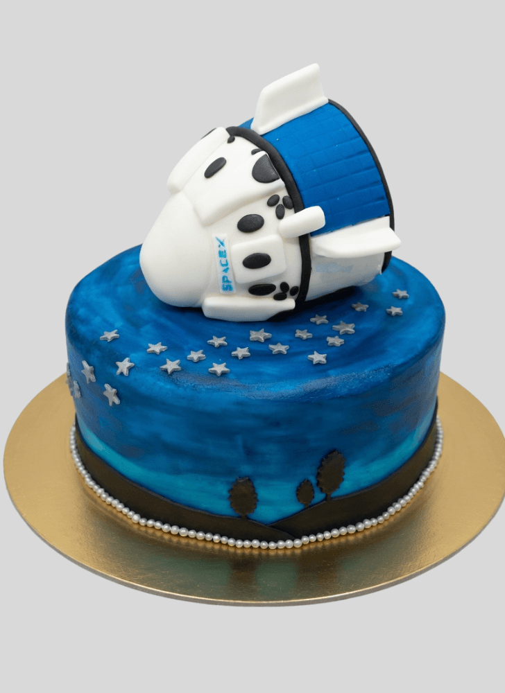 Alluring Isro Cake
