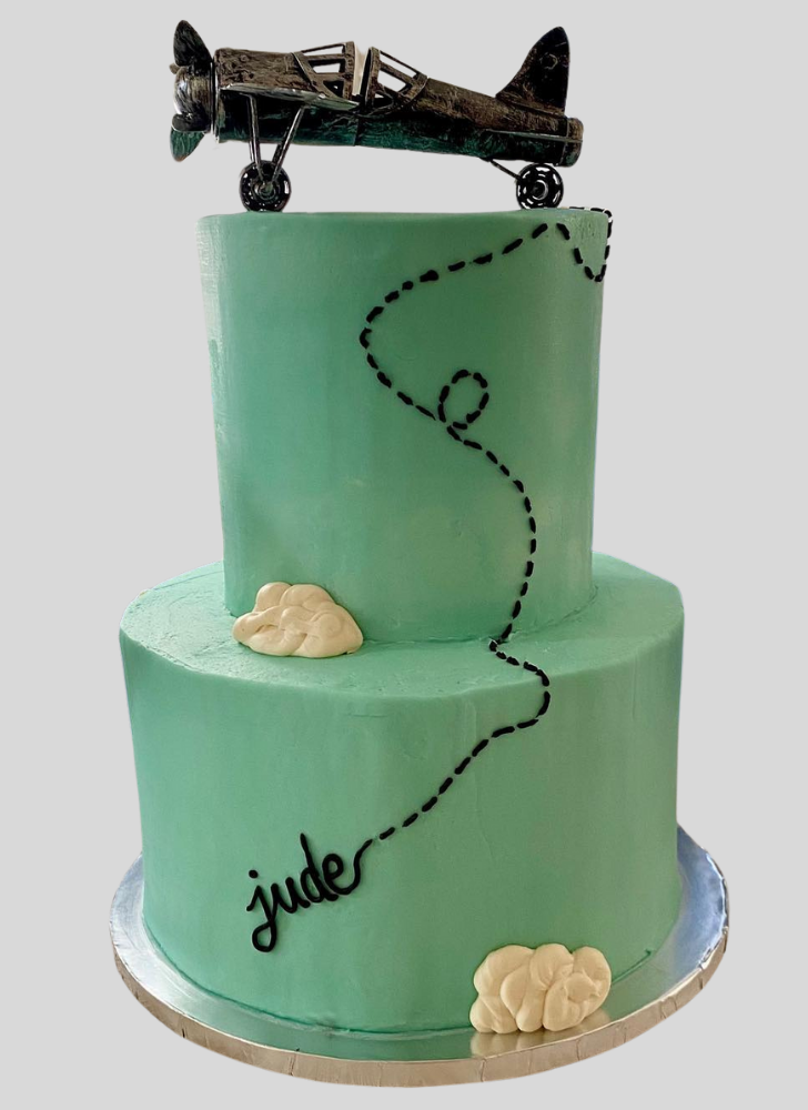 Comely Airplane Cake