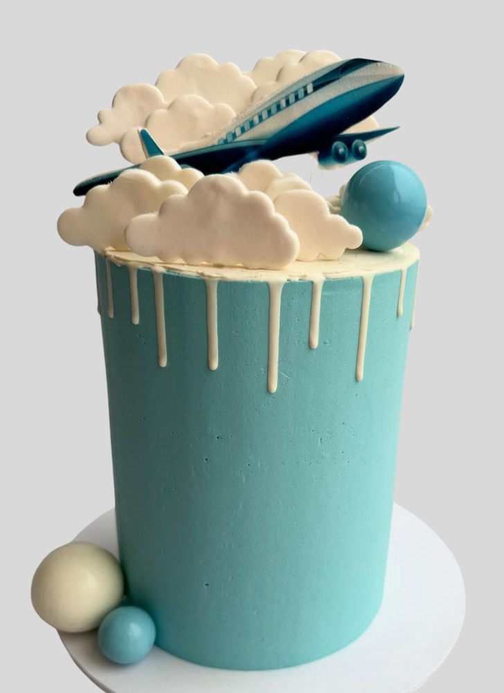 Cute Airplane Cake