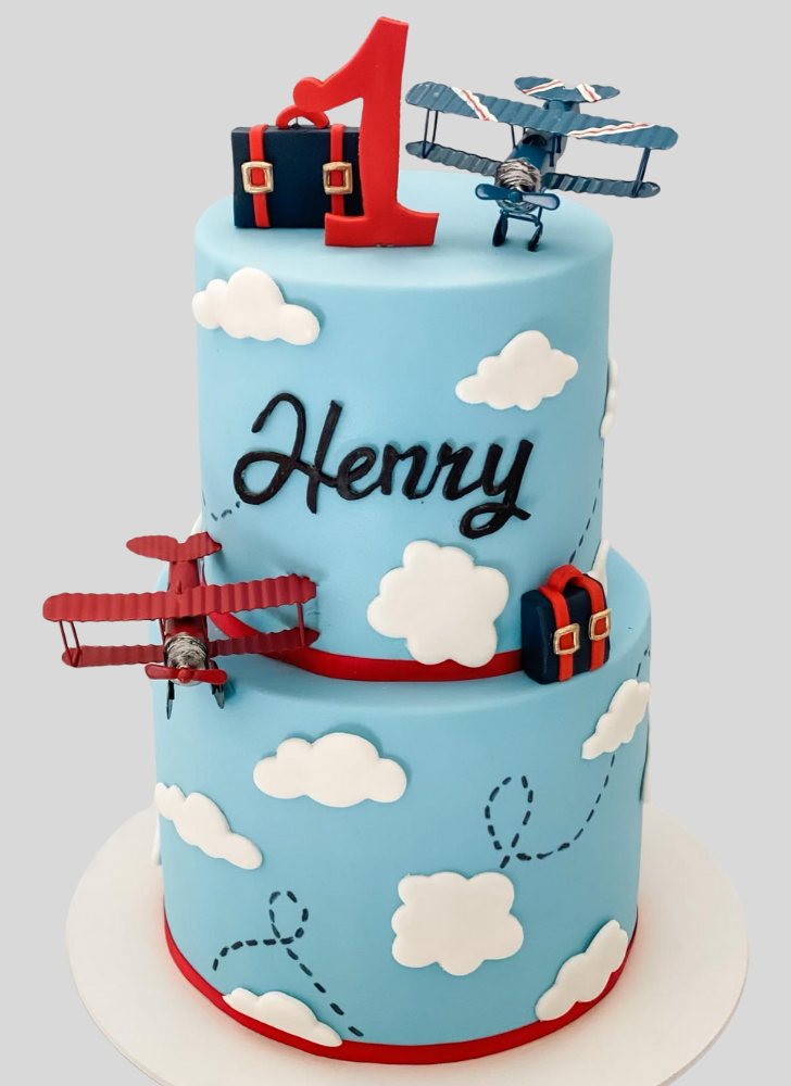 Elegant Airplane Cake