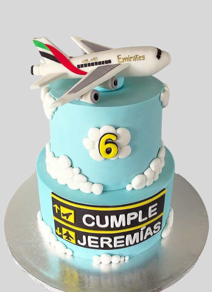 Exquisite Airplane Cake