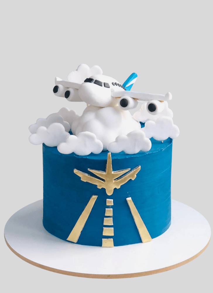 Handsome Airplane Cake