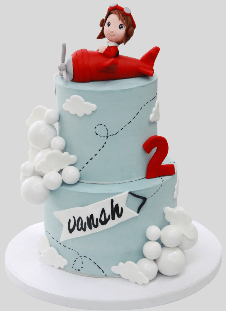 Magnetic Airplane Cake