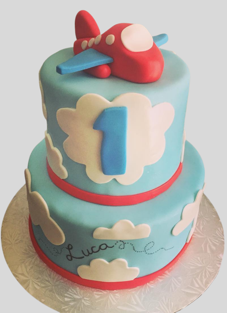 Ravishing Airplane Cake