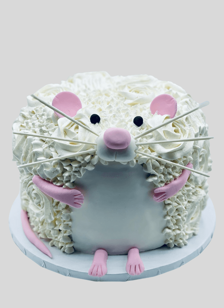 Comely Rat Cake