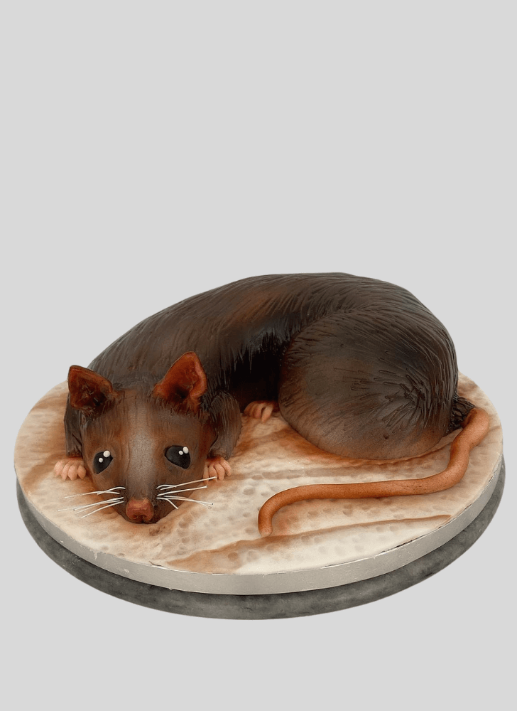 Fair Rat Cake