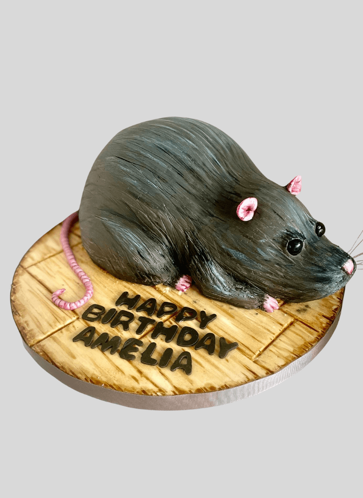 Gorgeous Rat Cake