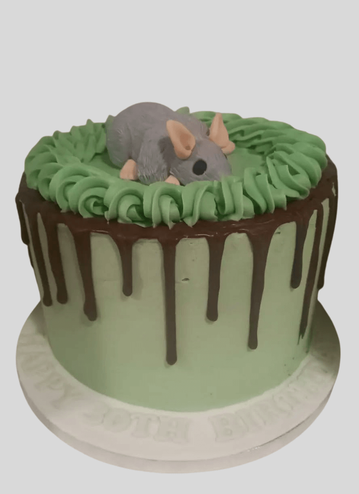 Inviting Rat Cake
