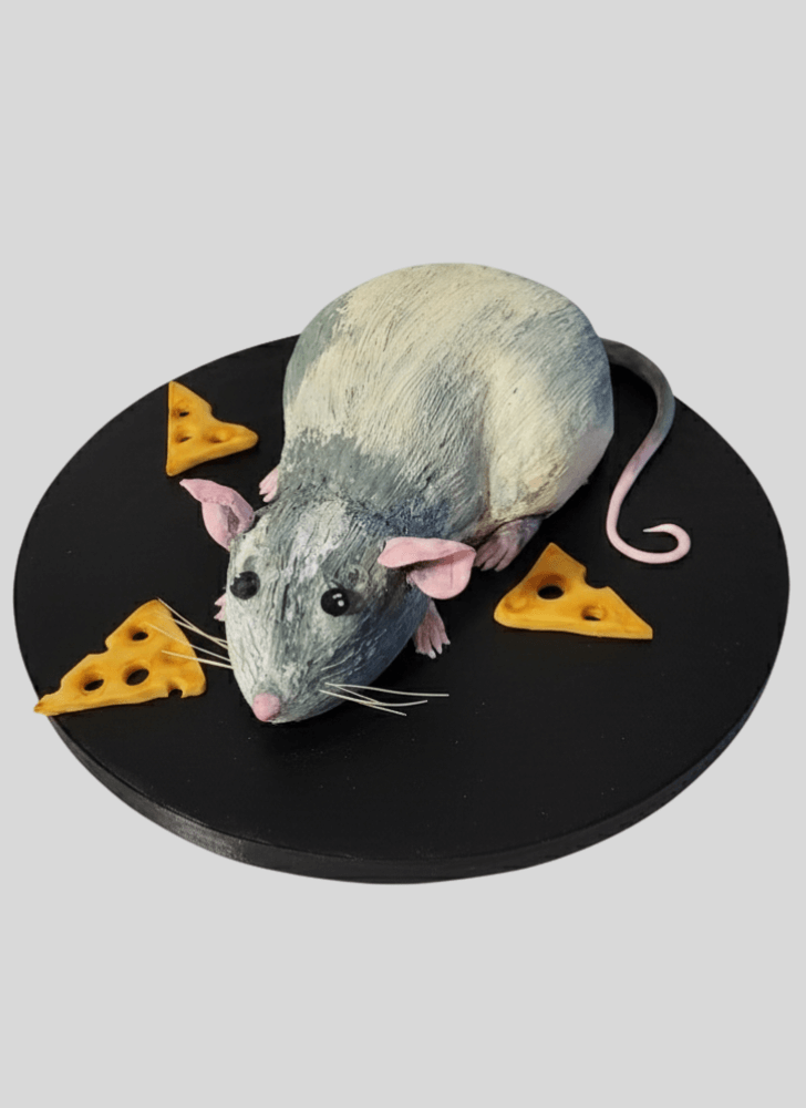 Slightly Rat Cake