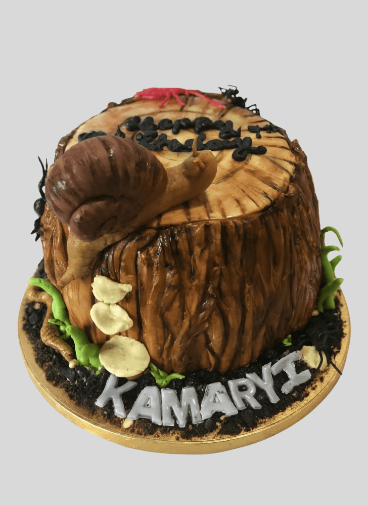 Fine A Bug's Life Cake