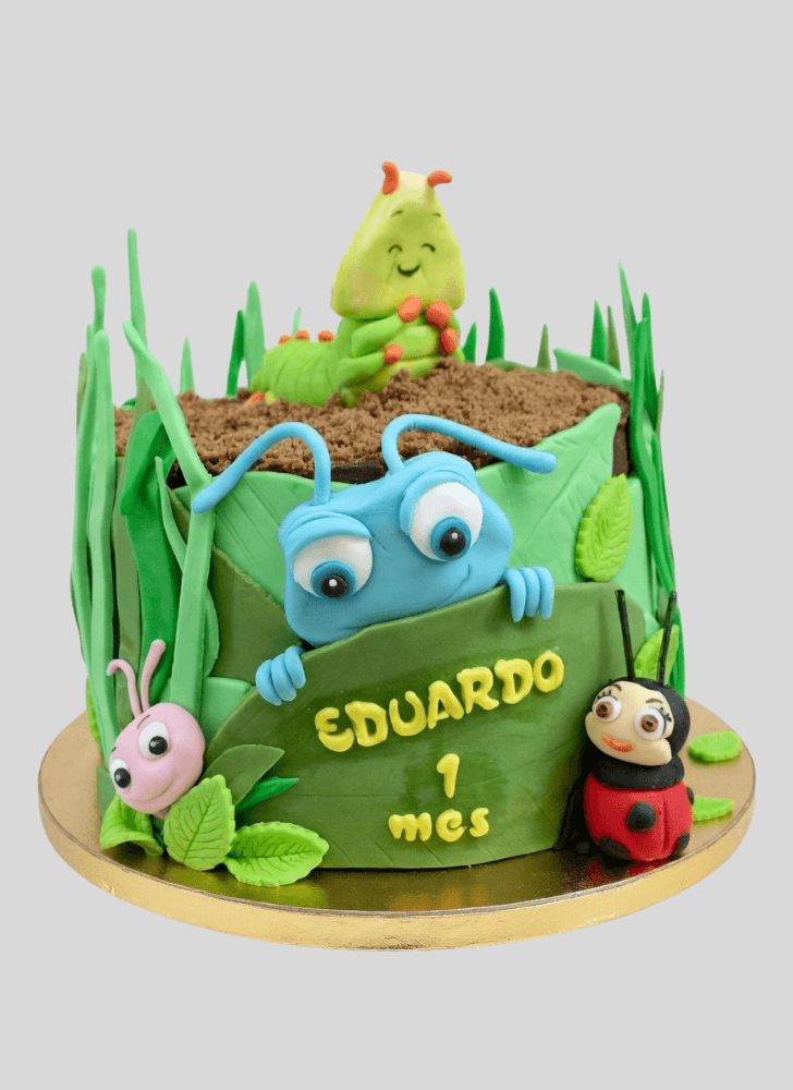 Magnetic A Bug's Life Cake