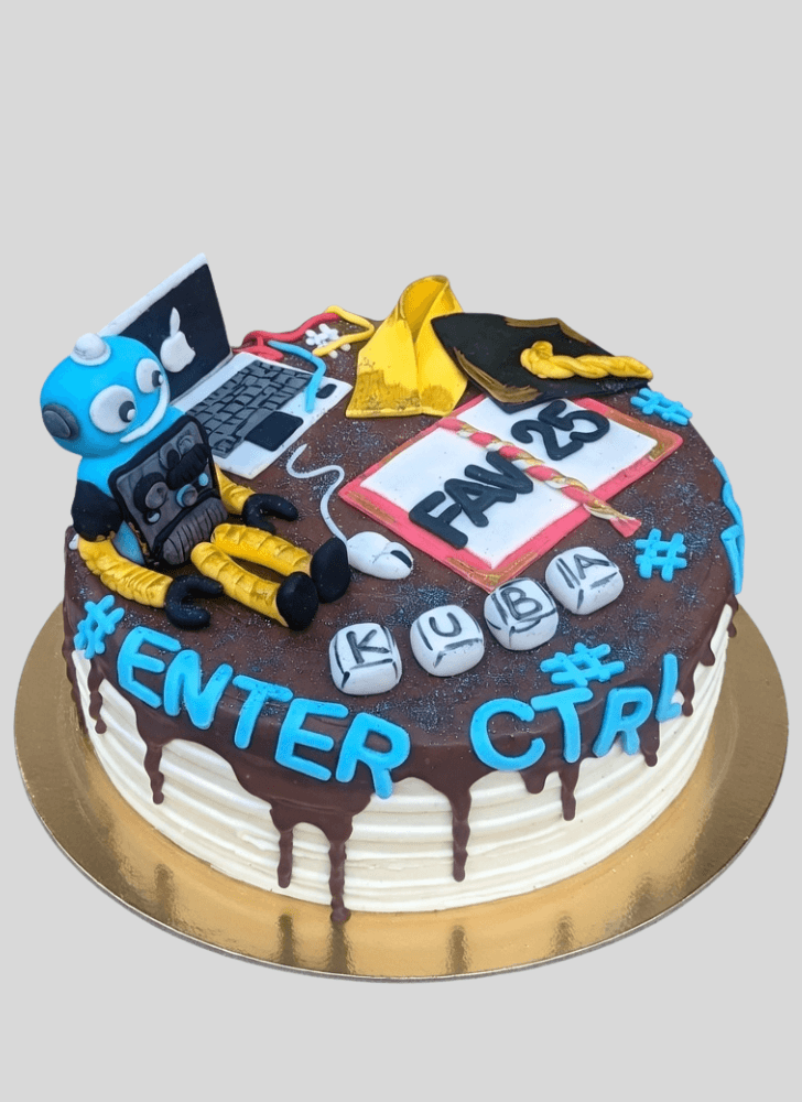 Graceful Computer Cake