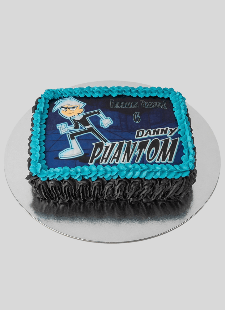 Alluring Danny Phantom Cake