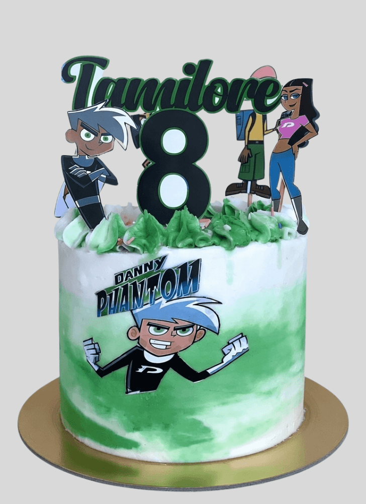 Delightful Danny Phantom Cake