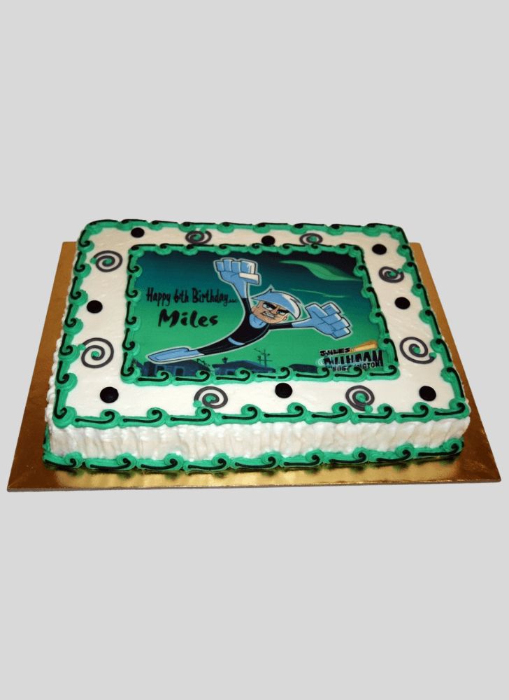 Enticing Danny Phantom Cake
