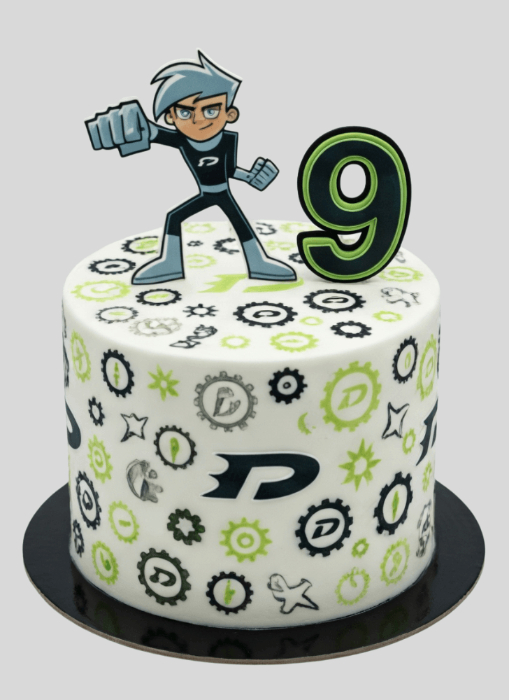Shapely Danny Phantom Cake